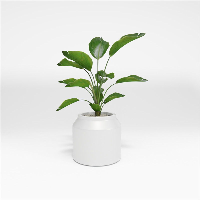 swarte bush pot (2)